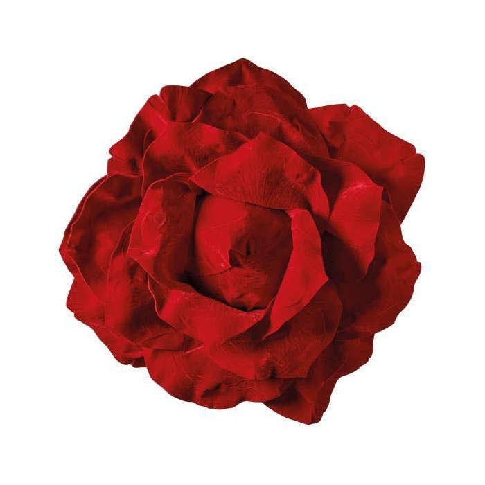 TESTA ROSA 757536 CM - ROSSO